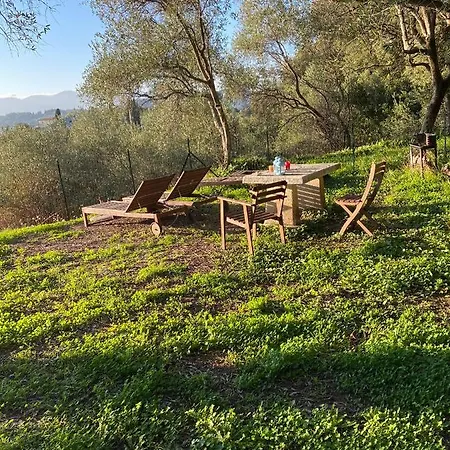 Casa Conte Picedi 아파트 *